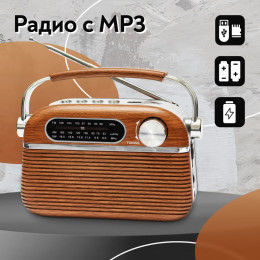 Радиоприемник MIRU Retro SR-1007 AM/FM/SW, аккумулятор 1000MAh, батарейки 2 х R20 3В, USB/TF(micro SD), 23*5,5*11,5см (Страна происхождения Китай) Артикул SR-1007