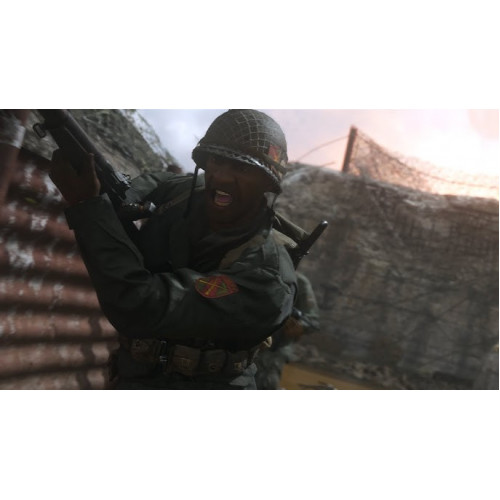 Call of Duty: WWII [PS4, английская версия]