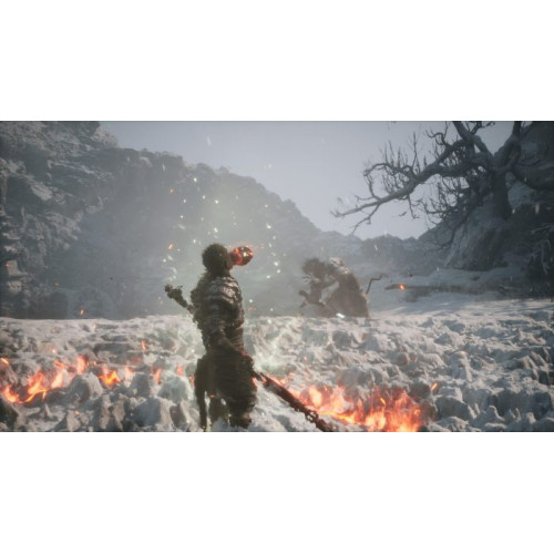 Black Myth: WuKong - Deluxe Edition [PS5, русские субтитры]