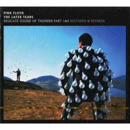Pink Floyd – Delicate Sound Of Thunder Part 1 & 2 - Restored & Remixed (Star Mark)