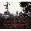 Red Hot Chili Peppers – Greatest Hits (Star Mark)