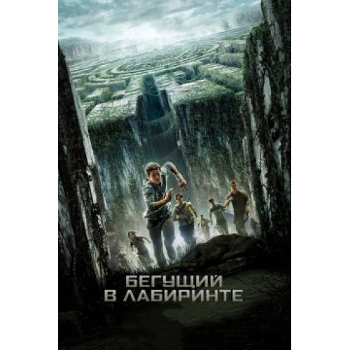 БЕГУЩИЙ В ЛАБИРИНТЕ (BD-диск)