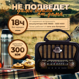 Радио портативное NNS NS-7081BT (антенна, MP3, USB,TF,фонарь,аккум 18650,зар Type-C)