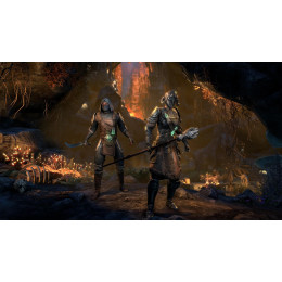 The Elder Scrolls Online: Blackwood - Collection [PS4, английская версия]