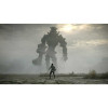 Shadow of the Colossus. В тени колосса [PS4, русская версия]