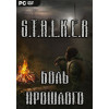 S.T.A.L.K.E.R. БОЛЬ ПРОШЛОГО DVD5 PC