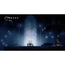 Hollow Knight [Nintendo Switch, русские субтитры]