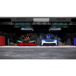 Team Sonic Racing [Nintendo Switch, русские субтитры]