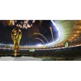 2014 FIFA World Cup Brazil (X-BOX 360)