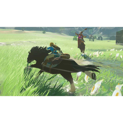 The Legend of Zelda: Breath of the Wild [Nintendo Switch, русская версия]