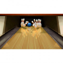 51 Worldwide Games [Nintendo Switch, английская версия]