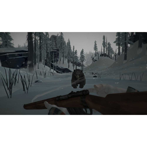 The Long Dark [PS4, русские субтитры]