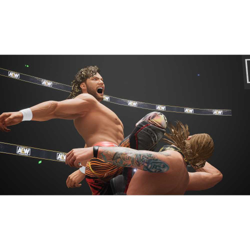 AEW: Fight Forever [PS5, английская версия]