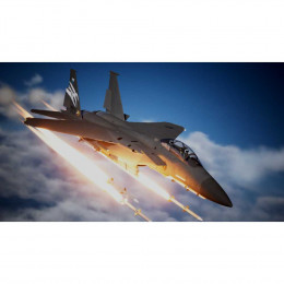 Ace Combat 7: Skies Unknown - Deluxe Edition [Nintendo Switch, русские субтитры]