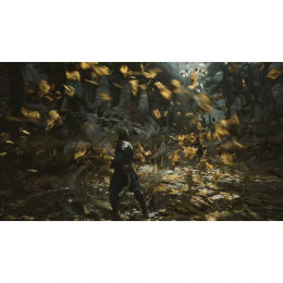 Black Myth: Wukong [PS5, русские субтитры] Trade-in / Б.У.