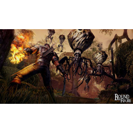 Bound by Flame (X-BOX 360)