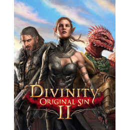 Divinity: Original Sin 2 (2 DVD) PC