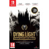 Dying Light: Definitive Edition [Nintendo Switch, русские субтитры]