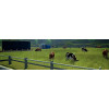 Farming Simulator 15 (LT+1.9/16537) (X-BOX 360)