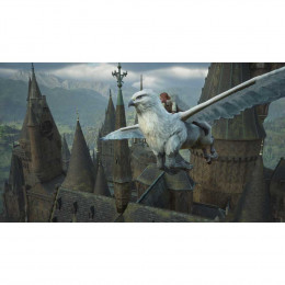 Hogwarts Legacy [Nintendo Switch 2, русские субтитры]