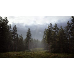 Hunting Simulator 2 [PS4, английская версия]