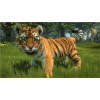 [ Kinect ] Kinectimals: Новые герои медведи! (LT+3.0/14699) (X-BOX 360)
