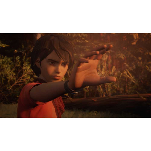 Life is Strange 2 [PS4, русские субтитры]