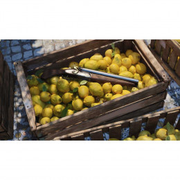 Mafia: The Old Country [Xbox Series X, русские субтитры]