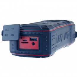 Perfeo «GRANDE» FM, MP3 microSD, AUX, мощность 10Вт, 2600mAh, черная