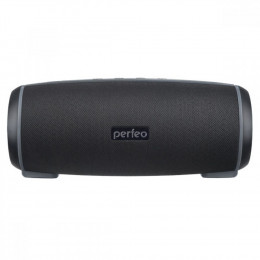 Perfeo «SHELL» FM, MP3 microSD, USB, AUX, мощность 12Вт, 2600mAh, черная