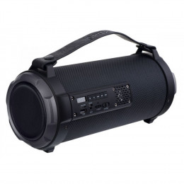Perfeo FM, MP3, microSD, USB, AUX, мощность 10Вт, 2200mAh (PF_A4318)