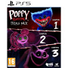 Poppy Playtime Triple Pack [PS5, русские субтитры]