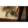 Prince of Persia: The Forgotten Sands [PS3, русская версия] Trade-in / Б.У.
