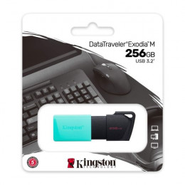 Флэш накопитель DTXM/256GB 256GB DataTraveler Exodia M, Kingston