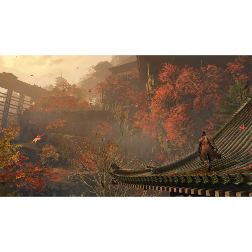 Sekiro: Shadows Die Twice Game of the Year Edition [PS4, русские субтитры]