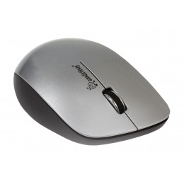 Мышь SmartBuy 309AG Silver/Black (SBM-309AG-SK)