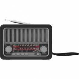 Радиоприемник Ritmix RPR-035