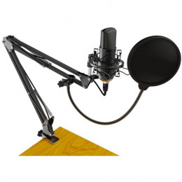 Проводной микрофон Ritmix RDM-169