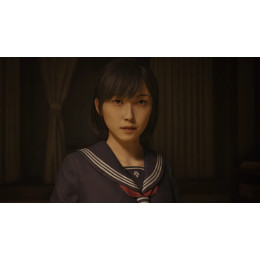 [64 ГБ] SILENT HILL f (ЛИЦЕНЗИЯ) - Action, Horror - DVD BOX + флешка 64 ГБ - игра 2025 года PC