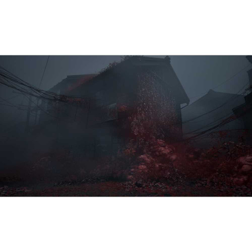 Silent Hill f - Day One Edition [PS5, русские субтитры]