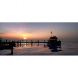 The Dark Pictures: Man of Medan [PS4, русская версия]