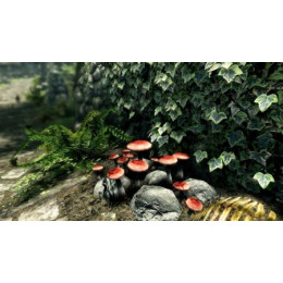 The Elder Scrolls V: Skyrim VR (только для PS VR) [PS4, русская версия]