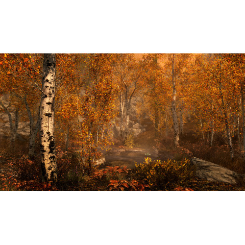 THE ELDER SCROLLS 5: SKYRIM — LEGENDARY EDITION Репак (DVD) PC