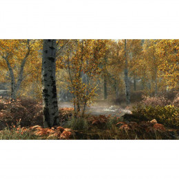 The Elder Scrolls V: Skyrim Anniversary Edition [PS4, русские субтитры]