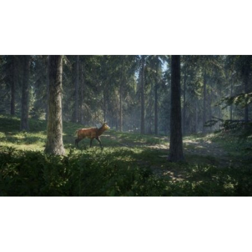 The Hunter: Call of the Wild 2019 Edition [PS4, английская версия]