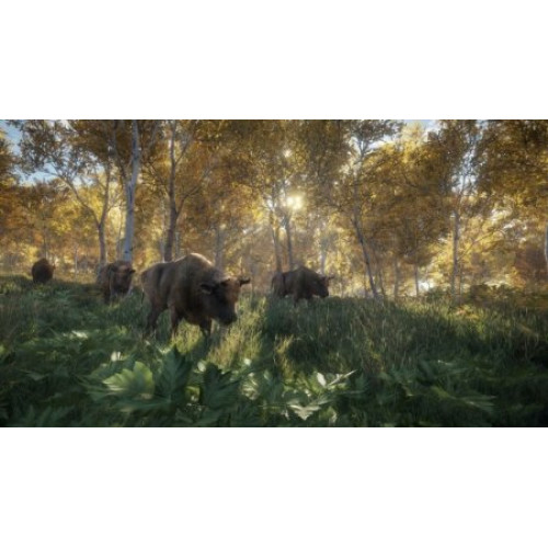 The Hunter: Call of the Wild 2019 Edition [PS4, английская версия]