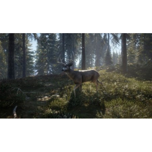 The Hunter: Call of the Wild 2019 Edition [PS4, английская версия]