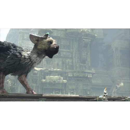 The Last Guardian. Последний хранитель [PS4, русские субтитры]