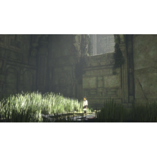 The Last Guardian (Последний хранитель) [PS4, русские субтитры] Trade-in / Б.У.