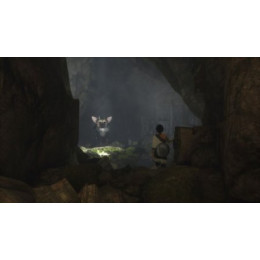The Last Guardian (Последний хранитель) [PS4, русские субтитры] Trade-in / Б.У.